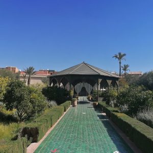 Best Morocco tour
