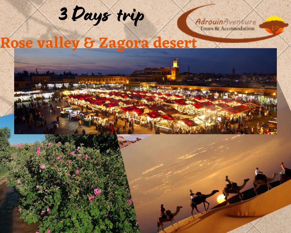 Best tour to Zagora and rose valley 