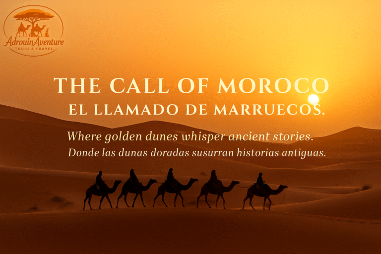 ChatGPT Image 31 oct. 2025, 11_10_13